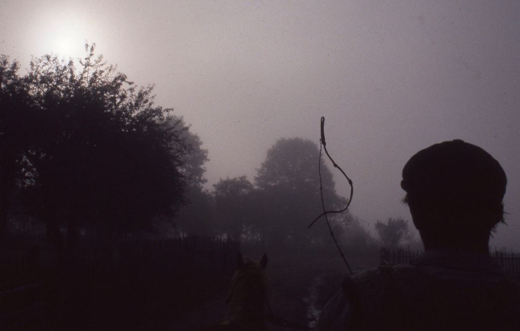 Ivan sur sa charette