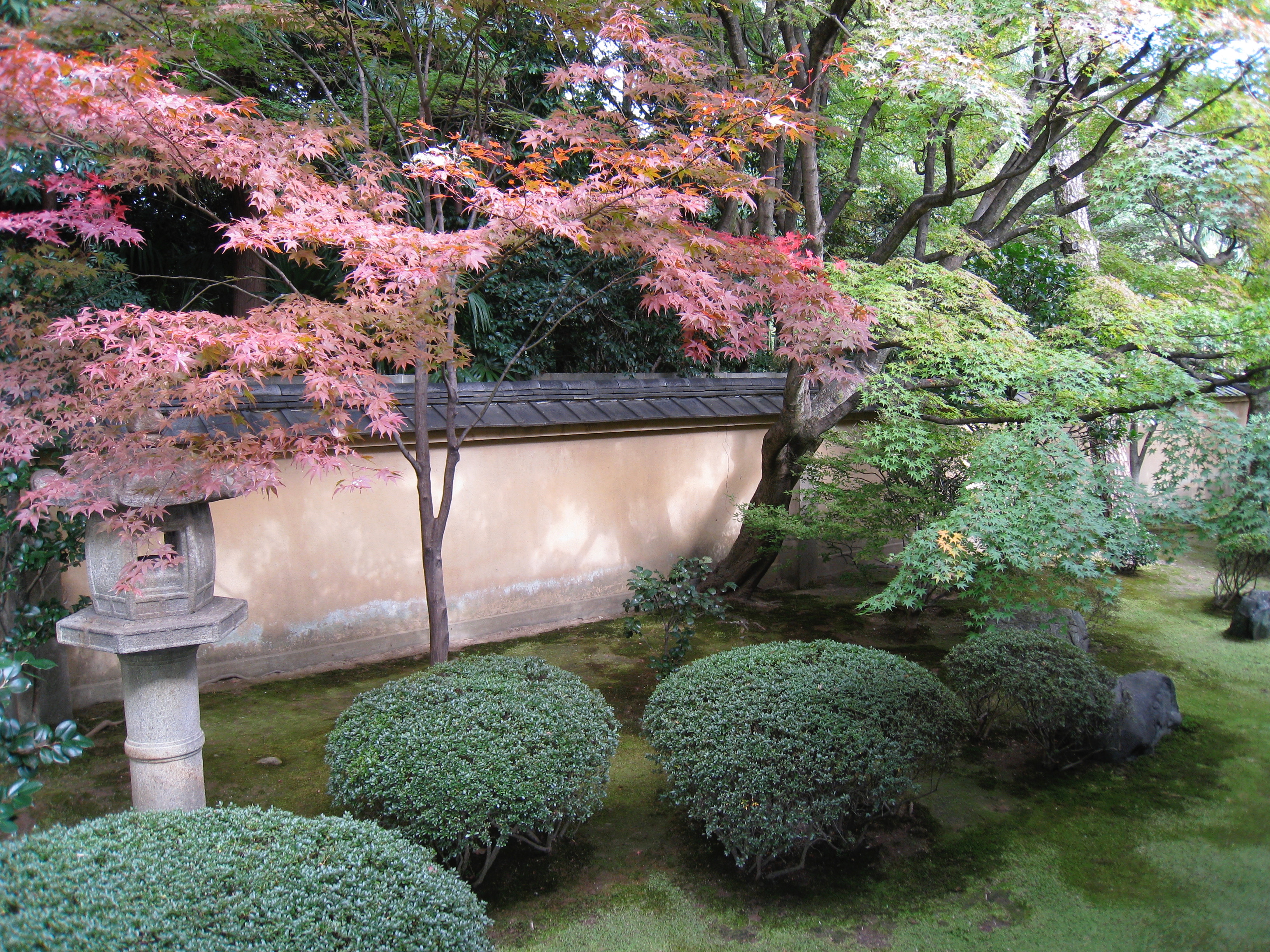 Jardin temple Kyoto