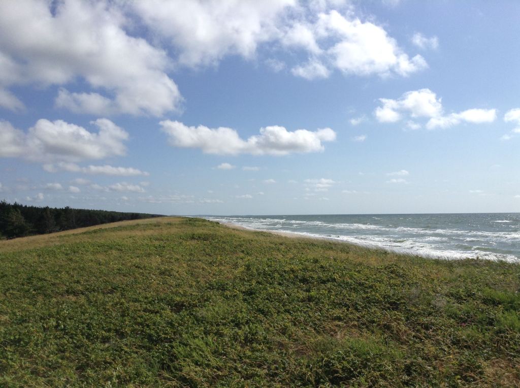 Flèche vers Kaliningrad